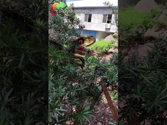 防水恐竜の運動場装置のディーノ公園のためのAnimatronic恐竜のパペット