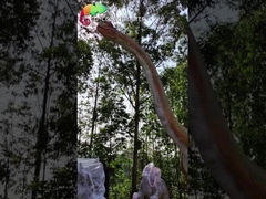 Sunproof 15Mの巨大なAnimatronic恐竜Animatronicジュラ紀公園のブラキオサウルス