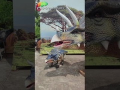 リアルなアニマトロニクス トリケラトプス三兄弟：ダイナミックな動きと先史時代の展示を備えた咆哮グループ