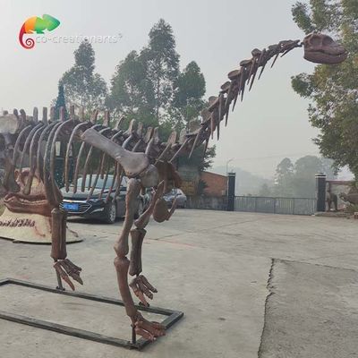 セリウム ジュラ紀公園の恐竜の骨組レプリカのShunosaurusの骨組天候のreistance