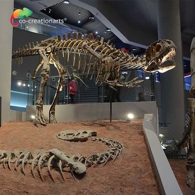 購入 landscape decoration Outdoor Yangchuanosaurus Skeleton Dinosaur Replica Fossil online manufacture