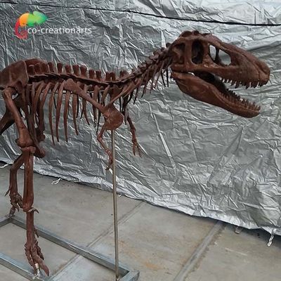 個人化されたカスタム化の恐竜の骨のレプリカT Rexの頭骨のレプリカ