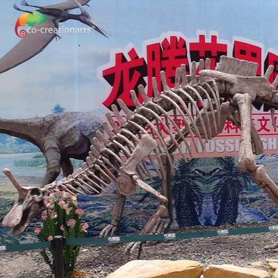 公園の装飾の恐竜の化石のレプリカ実物大のTsintaosaurus骨組Sunproof