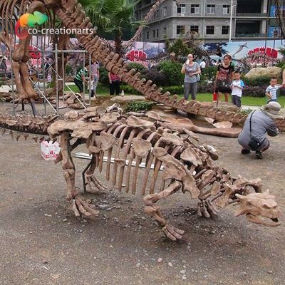 公園の装飾の恐竜の骨組レプリカ実物大のSunproof