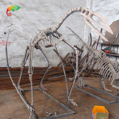 博物館展覧会の樹脂の恐竜のカスタマイズ可能な骨組Quetzalcoatlusの骨組