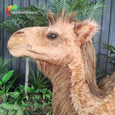 人工的な現実的なAnimatronic動物によってカスタマイズされたサイズのラクダは遠隔に制御した
