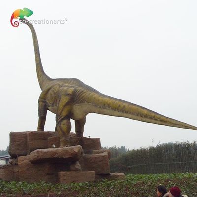 名前